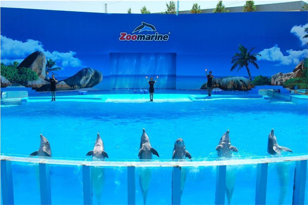 Apartamento Fortaleza Mar - 2 Steps From The Sea อาร์มาซอง เด เปรา ภายนอก รูปภาพ